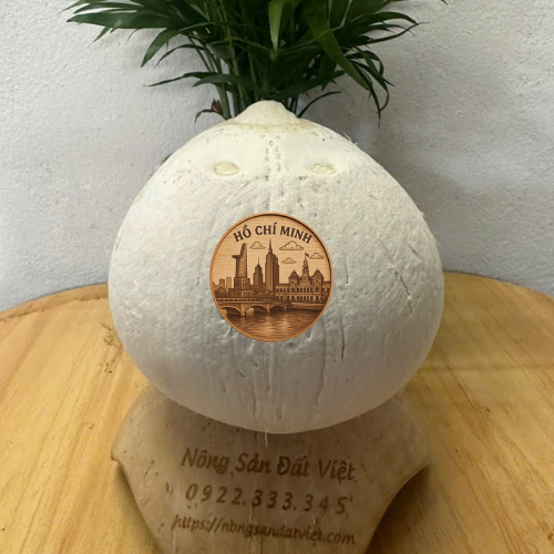 Sỉ lẻ dừa trọc Hồ Chí Minh